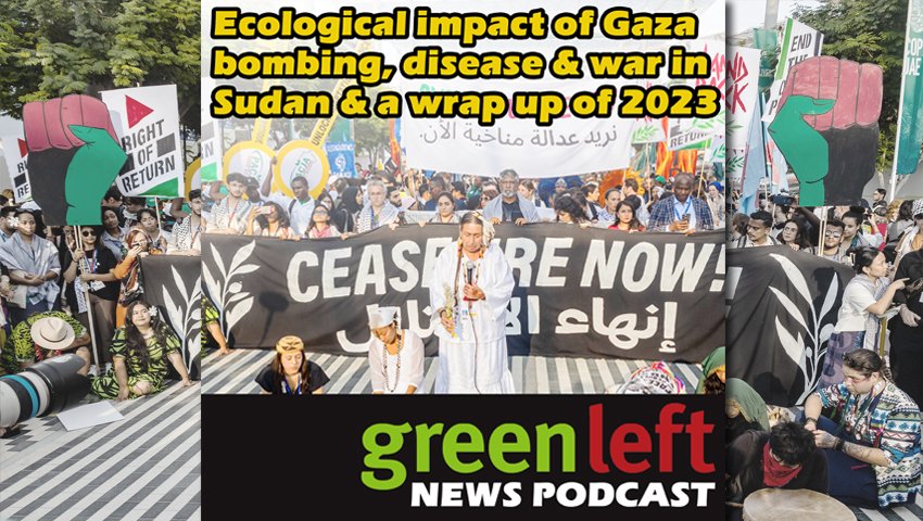 Ecological impact of Gaza bombing, disease and war in Sudan & 2023 wrap up