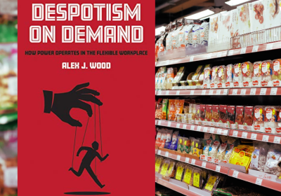 despotism on demand book cover