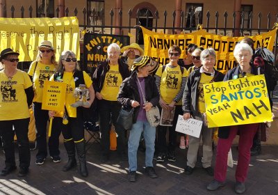 Illawarra Knitting Nannas Against Greed at a protest outside NSW parliament. 