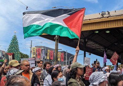 Waving the Palestinian flag