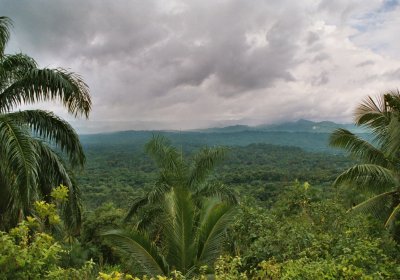 A third of Cuba is forest