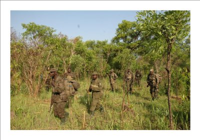 The Ugandan army hunts Joseph Kony's Lord's Resistance Army in the Democratic Republic of the Congo.