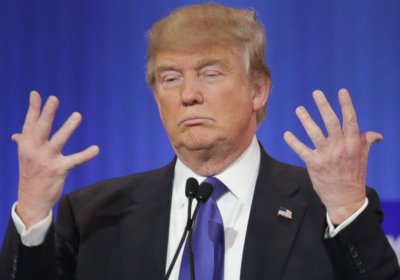 An orange baboon obsessed with the size of his hands.
