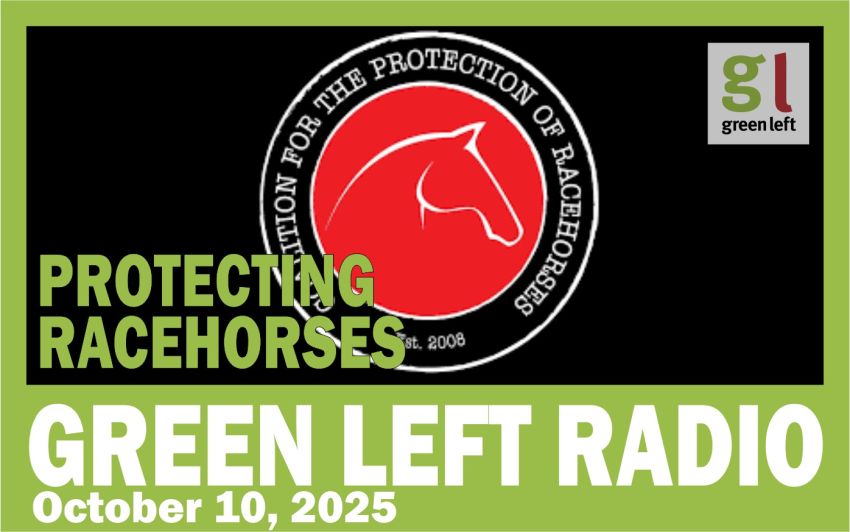 Protecting Racehorses on Green Left Radio