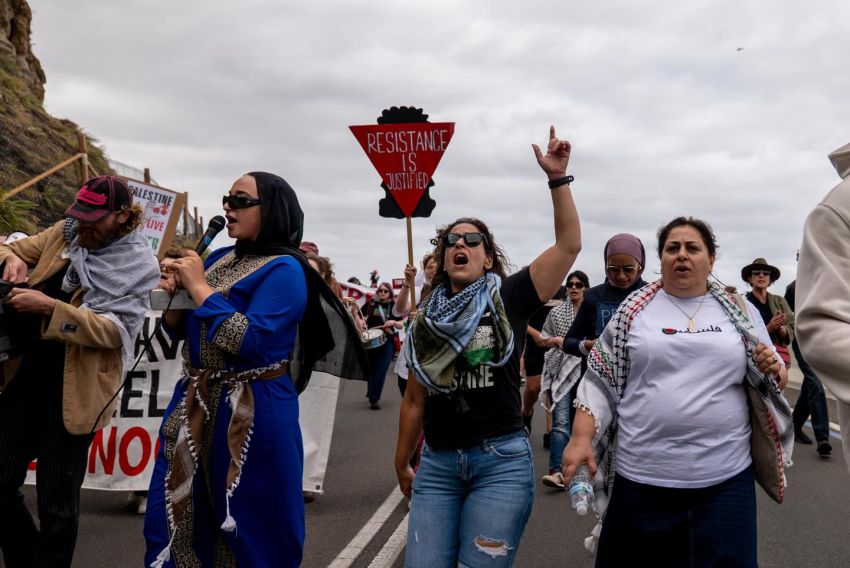 Wollongong palestine rally