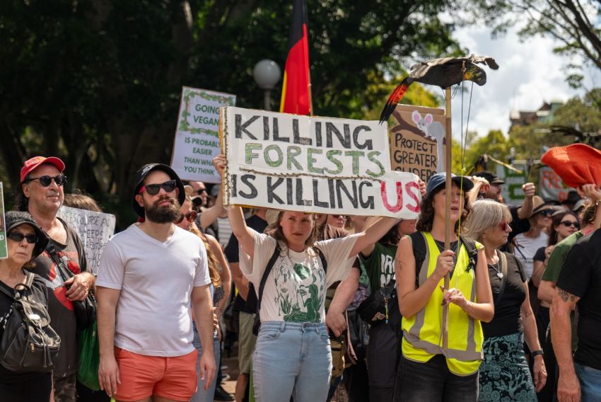 killing forests is killing us 
