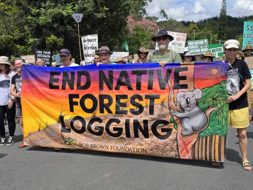 bellingen forest rally: end native forest logging