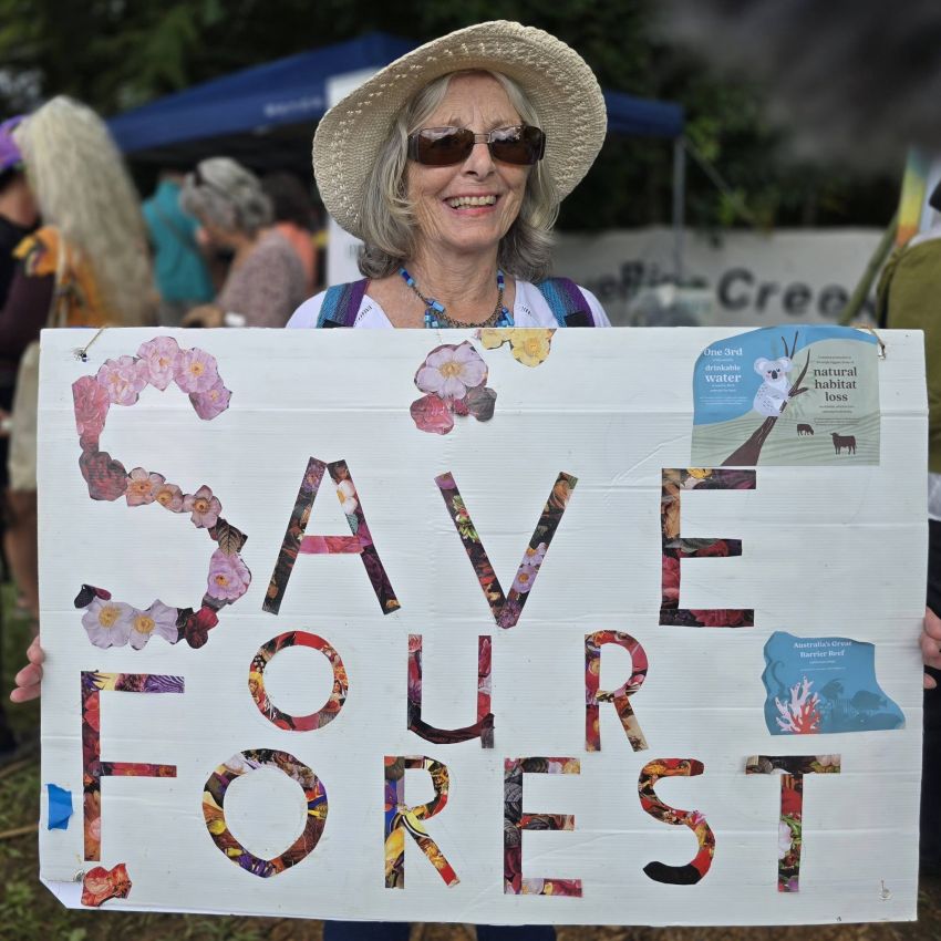 bellingen forest rally: save our forest