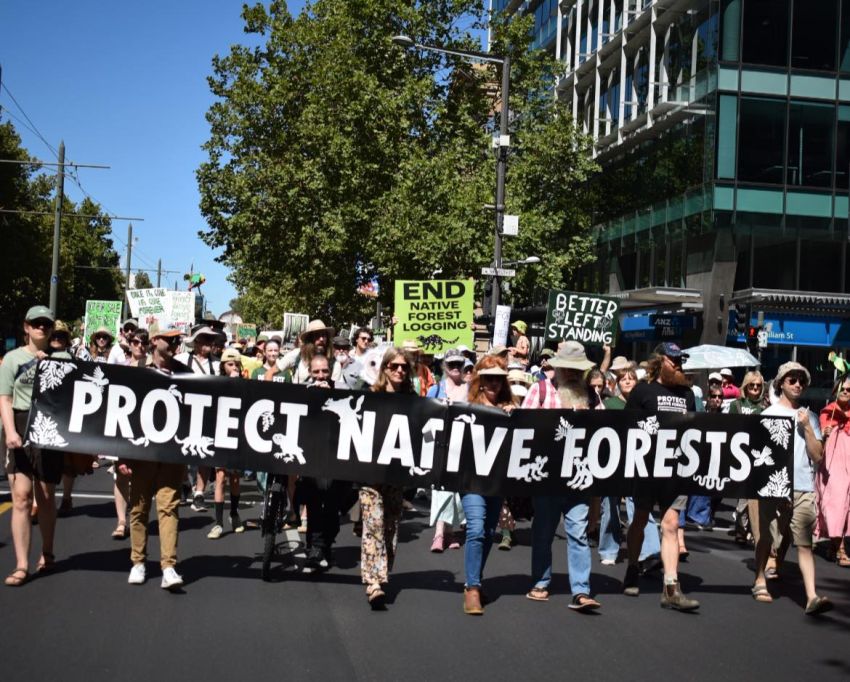 kaurna yerta adelaide protect native forests 