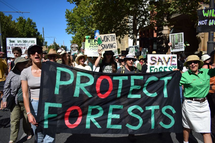 Kaurna Yerta/Adelaide. Photo: Jordan Ellis