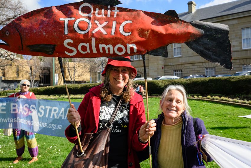 quit toxic salmon