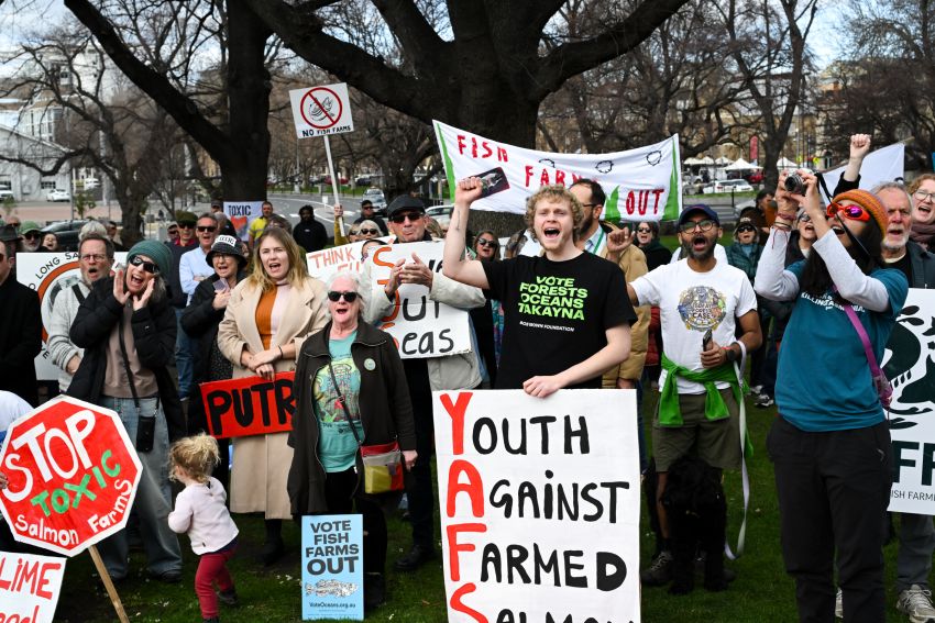 salmon farm protest outside parliament
