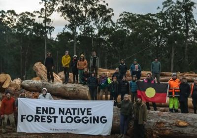 End Native Forest Logging protesters - Bob Brown Foundation