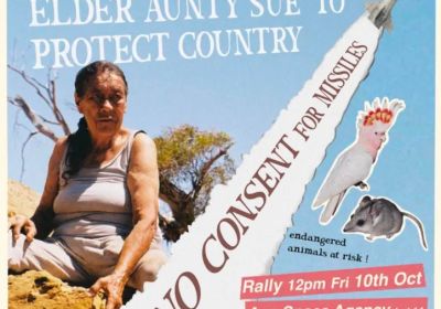 No Consent for Missiles - Stand with Aunty Sue rally 10/10/2025