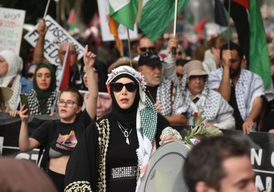 protester at Palestine rally