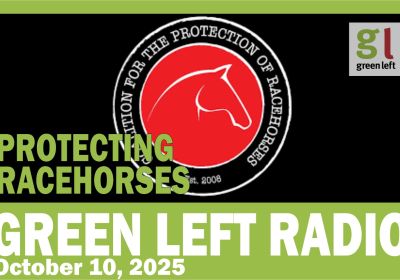 Protecting Racehorses on Green Left Radio