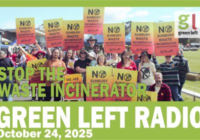 Stop the Waste Incinerator