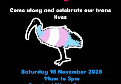 Graphic for Trans Joy Pcinic event 15/11/2025 Bowden Village Reserve