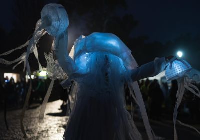 Cropped photo of Dancing Monsters performance.