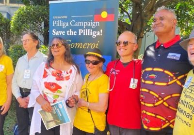 Pilliga campaign report