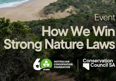 Graphic for event How We Win Strong Nature Laws, 24/11/2025 Tarntanya