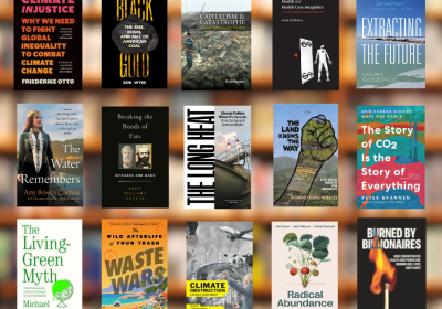 Book covers against a blurred bookshelf background