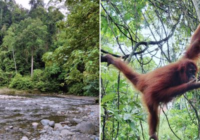 photos for SE Asia article