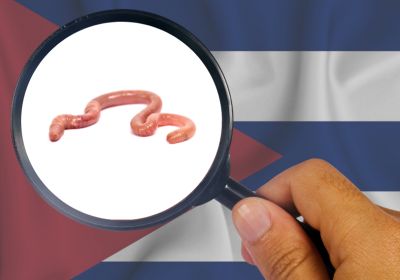 Picture of a worm as seen through a magnifying glass overlaid above a background image of the Cuban flag