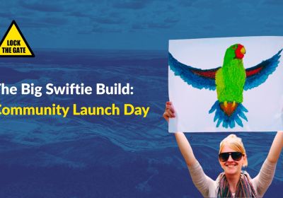 Graphic for event The Big Swiftie Build: Community Launch Day, 11/01/2026 Hamilton North Muloobinba
