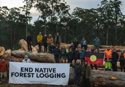End Native Forest Logging, Bob Brown Foundation