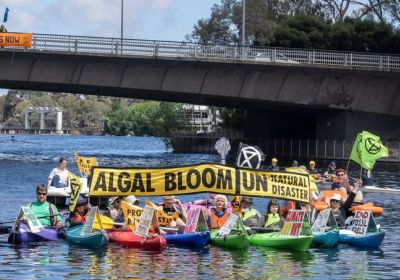 Extinction Rebellion South Australia Paddle for the Planet participants on Karrawirra Pari (River Torrens) 15/11/2025