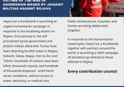 emergency aid for rojava
