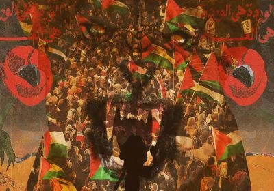 Artwork used to promote event Support Dr Rose Nakad at Newtow Court House 9:30am 03/02/2026 Newtown Courthouse, 222 Australia St, Newtown NSW 2042