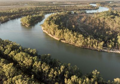 Photo of Murray Darling by Zac Edmonds, cropped.