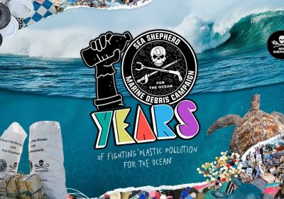 Artwork and graphic for event Sea Shepard Day for the Ocean, 4pm-6pm 22/02/2026, Short Point, Short Point Rd, Merimbula NSW 2548