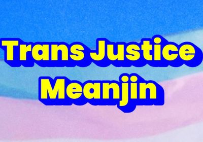 Artwork and graphic that says Trans Justice Meanjin
