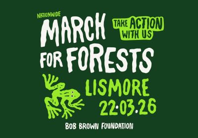 Artwork and graphic for event March in March for Forests – Lismore, Bundjalung Country, 10am 22/03/2026 The Quad, 110 Magellan St, Lismore NSW 2480