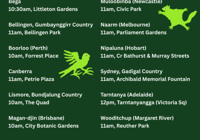 nationwide march forest forests on march 22 details from various cities 