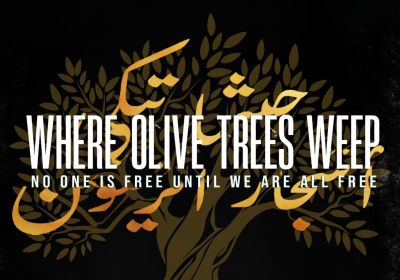 Artwork and graphic for event Film screening: Where Olive Trees Weep, 6:30pm 12/03/2026 
