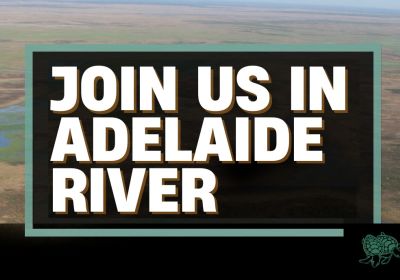 Artwork and graphic for Enviro Centre NT catch-up, 6pm 10/03/2026 303. BAR Adelaide River Inn, 12 Dogherty St, Adelaide River NT 0846