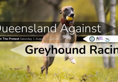 Artwork and graphic for event Queensland Against Greyhound Racing, 10am 01/08/2026 Parliament House, 2A George St, Brisbane City QLD 4000
