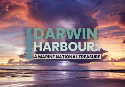 Artwork and graphic for event Darwin Harbour: A Marine National Treasure, 6pm 16/04/2026 AANT Centre, 93 Mitchell St, Darwin City NT 0800