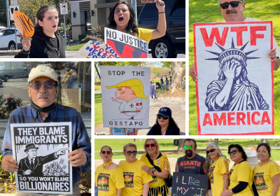 collage of people with home made signs