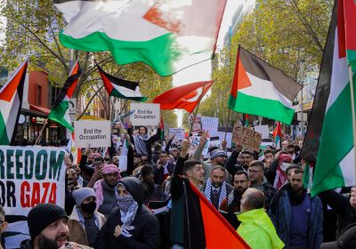 Photo of people at a Palestine solidarity protest