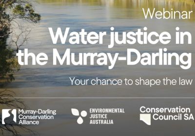 Artwork and graphic for event Water Justice in the Murray-Darling – Webinar and Q&A, 5pm-6pm AEST online with Zoom