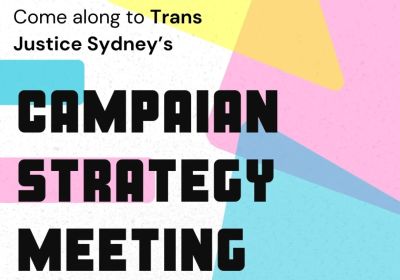 Artwork and graphic for Trans Justice Sydney campaign strategy meeting