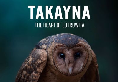 Artwork for documentary film Takayna - the Heart of Lutruwita 