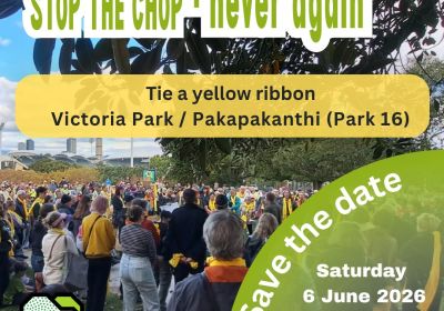 Artwork and graphic for event Stop the Chop – Tie a yellow ribbon, 10:30am 06/06/2026 Pakapakanthi, Wakefield Road, Adelaide SA 5000