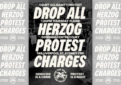 Artwork and main image for event listing "Court solidarity protest: Drop all Herzog protest charges"