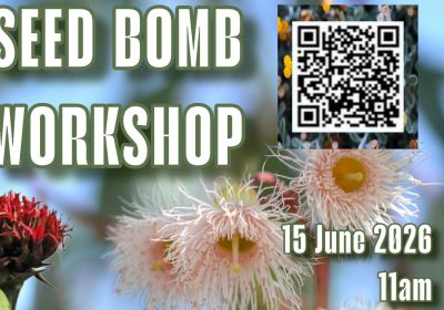 Artwork and main image for event listing "Seed Bomb Workshop at Bisallot Steel Picket" 11am 15/06/2026 Bisalloy Steel Picket, Bisalloy Steel 24 Resolution Drive Unanderra NSW 2526